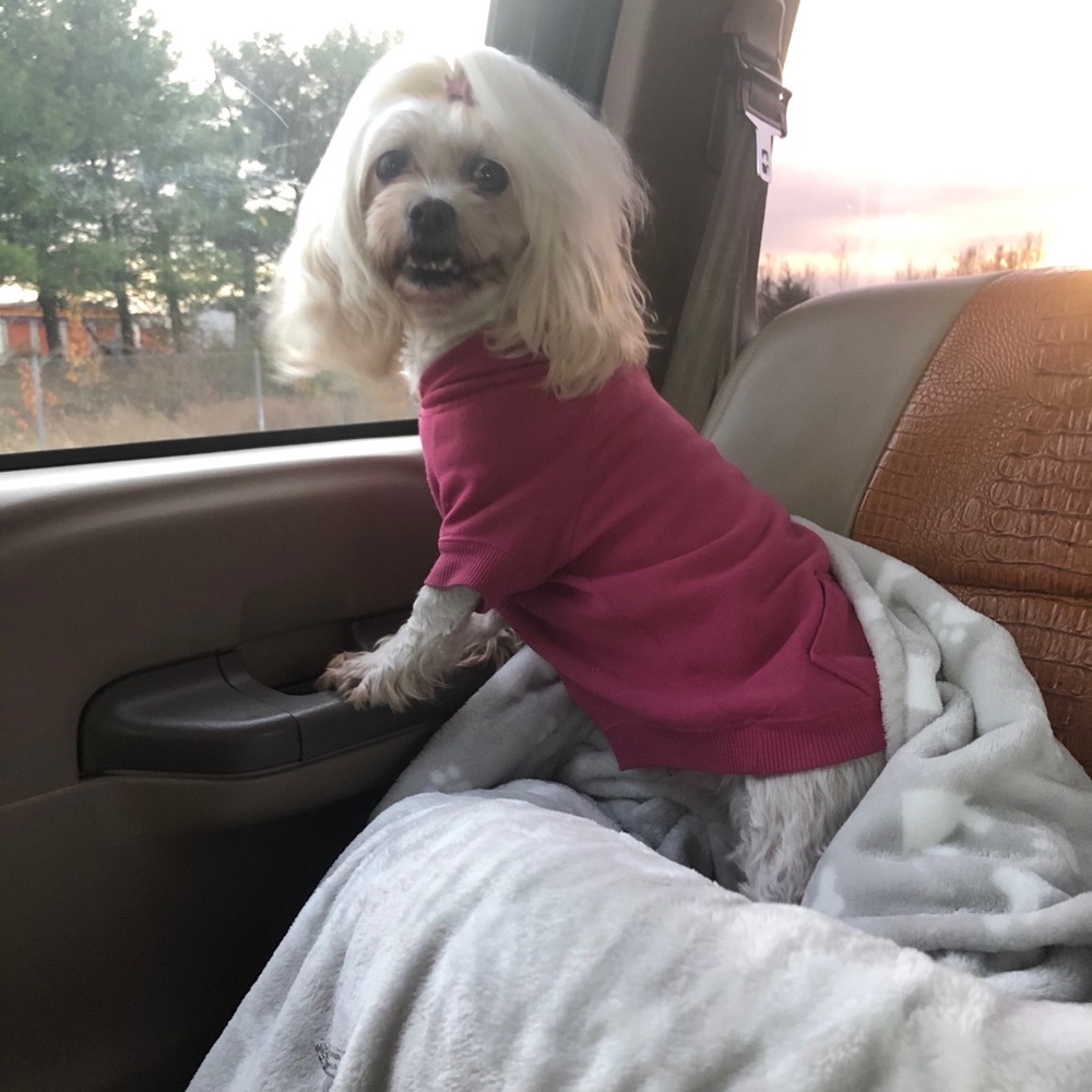 Meet your Posher, Marlen